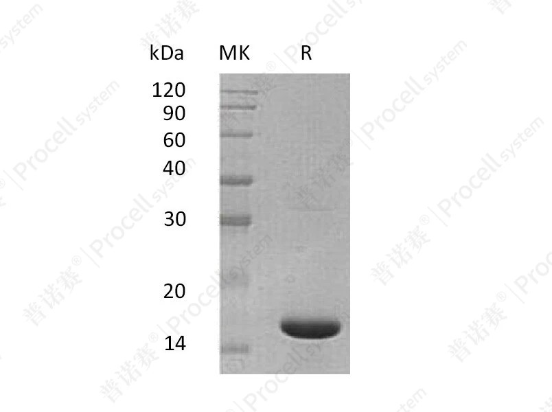 https://789.bio/ec/aWySZ5