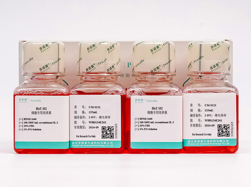 https://789.bio/ec/aeD8dS