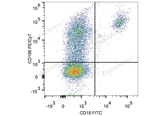 Human peripheral blood lymphocytes are stained with PE/Cyanine7 Anti-Human CD196/CCR6 Antibody and FITC Anti-Human CD19 Antibody.