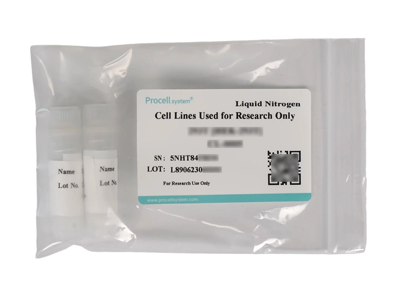 TPC-1TPC-1 - 7