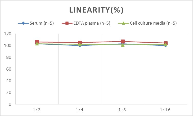 High Sensitivity Human IL-8 (Interleukin 8) ELISA Kit-1