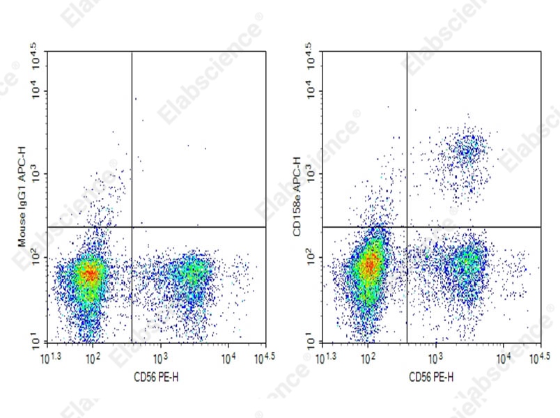 Purified Anti-Human CD158e Antibody[DX9] - 1