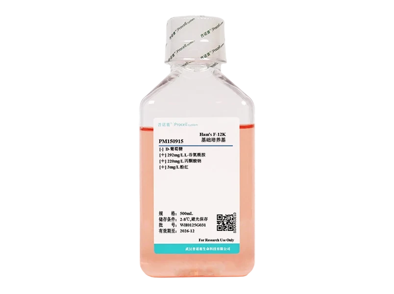 https://789.bio/ec/ajXG00gO