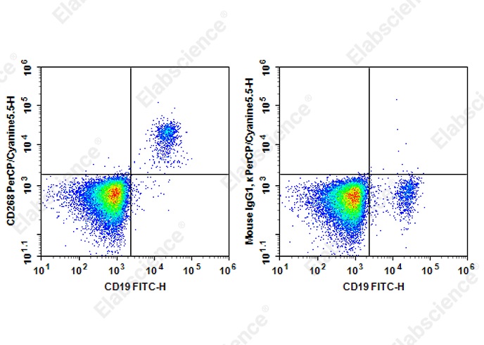 PerCP/Cyanine 5.5 Anti-Human CD268 Antibody[6G10] - 1
