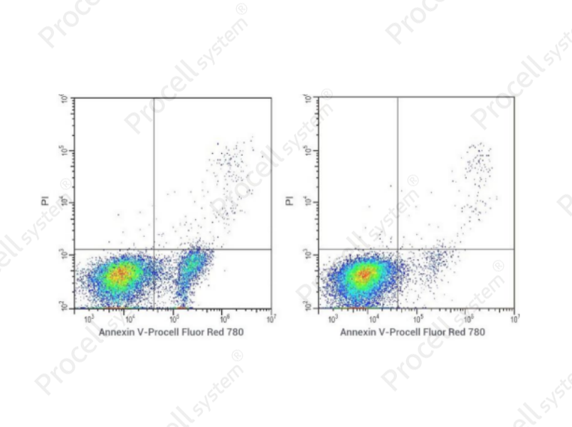 Annexin V-Procell Fluor Red 780/PI Apoptosis KitAnnexin V-Procell Fluor Red 780/PI Apoptosis Kit - 1