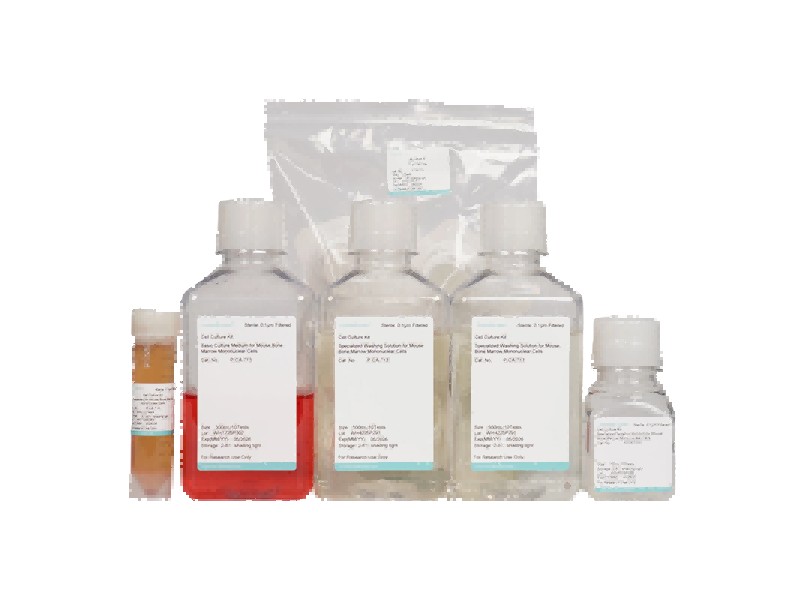 Mouse Bone Marrow Mononuclear Cell Isolation and Culture KitMouse Bone Marrow Mononuclear Cell Isolation and Culture Kit - 2