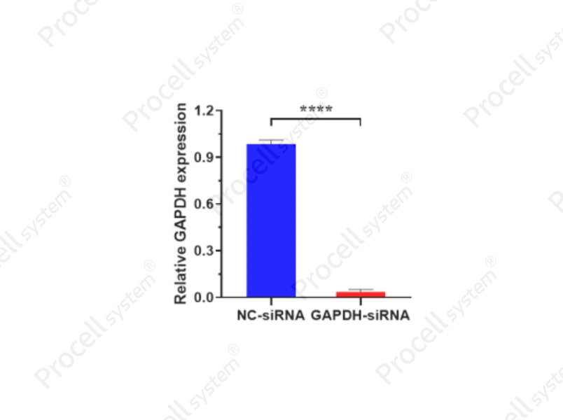 Mergene1000<sup>&reg;</sup> THP-1 Cell-Specific siRNA Transfection Reagent - 2