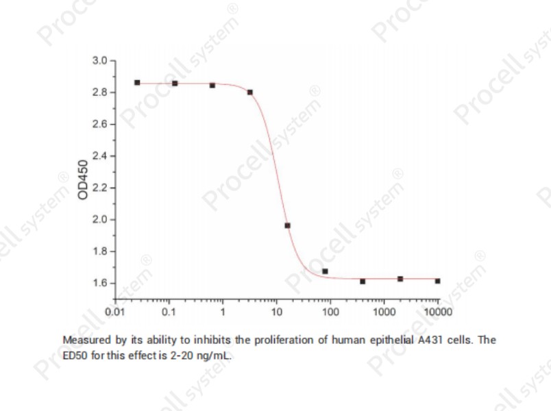 EGF/Urogastrone/URG, Mouse, RecombinantEGF/Urogastrone/URG, Mouse, Recombinant - 2