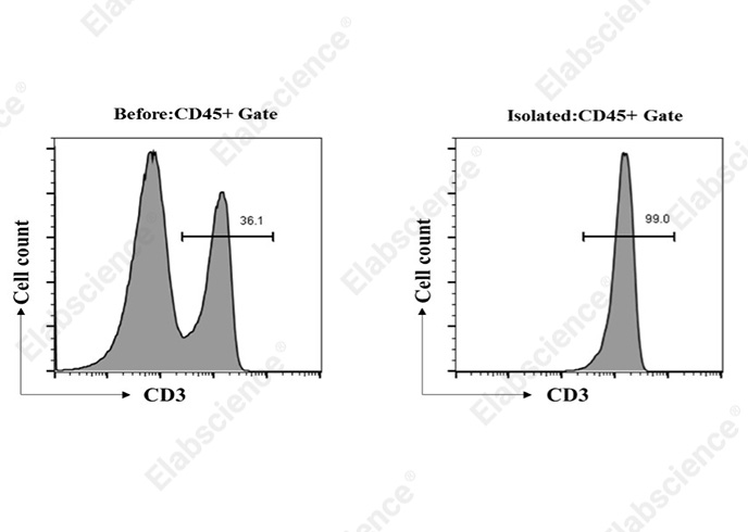 EasySort™ Mouse CD4+T Cell Isolation Kit-产品推荐-1