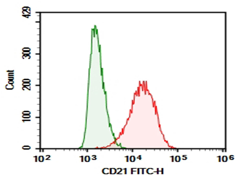 Purified Anti-Human CD21 Antibody[HB5]-1