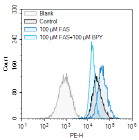 Cell Ferrous (Fe2+) Fluorometric Assay Kit - 1
