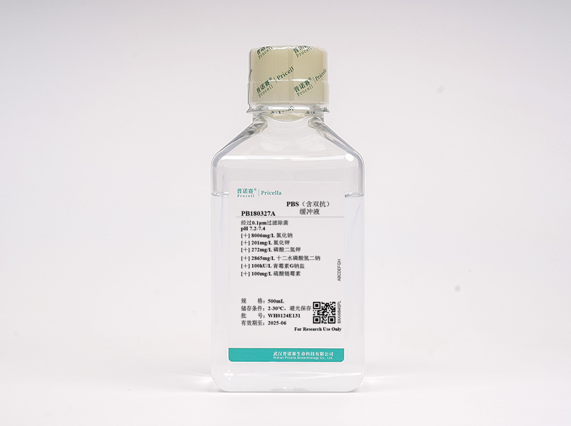 https://789.bio/ec/ayqLVH