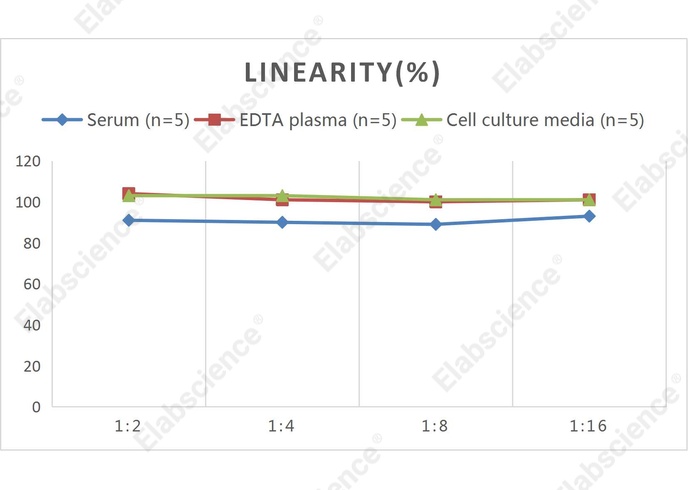 High Sensitivity Mouse IL-2 (Interleukin 2) ELISA Kit - 2