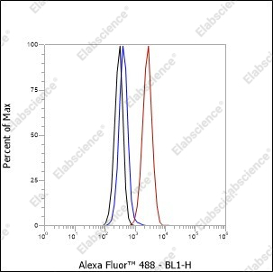 Recombinant Cleaved PARP1 p85 Monoclonal Antibody - 3