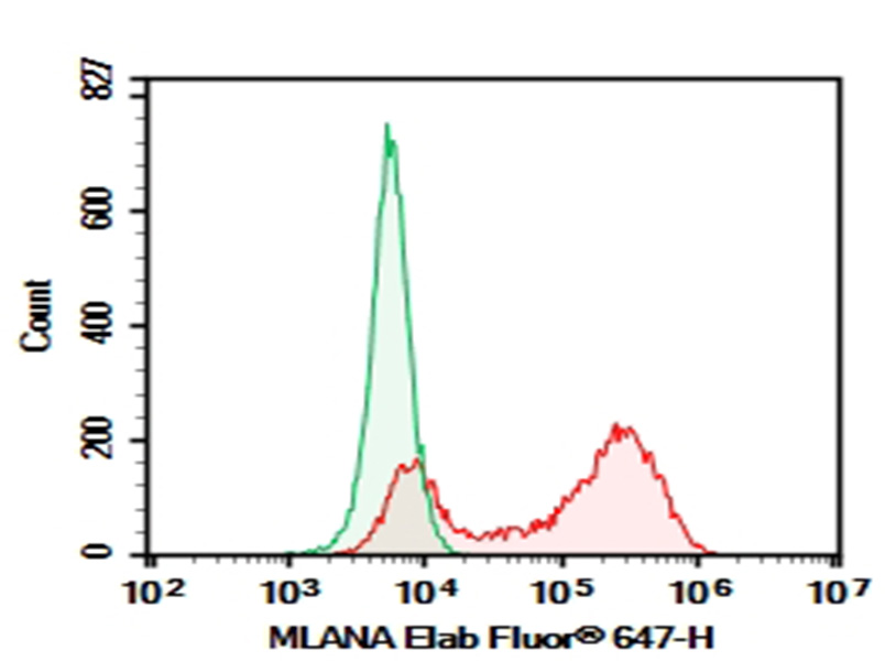 Purified Anti-Human MLANA Antibody[A103]-1