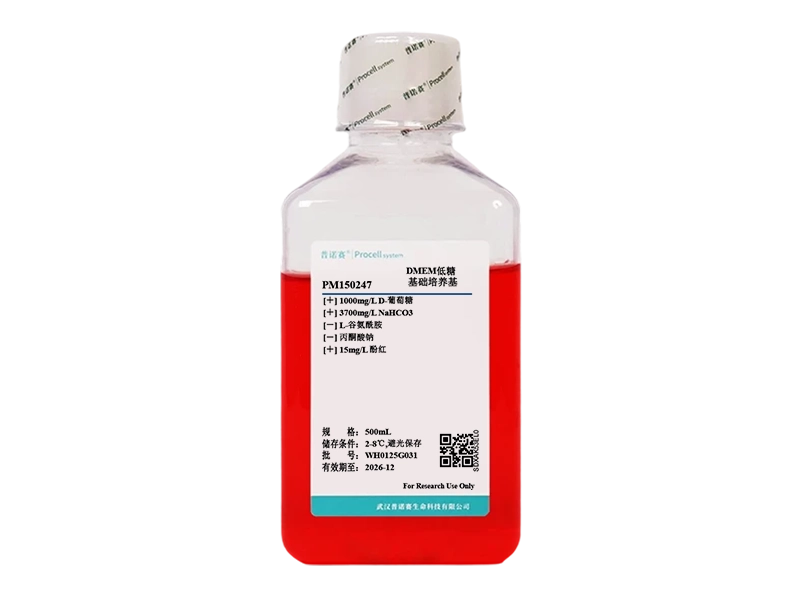 https://789.bio/ec/b2uP8f5J