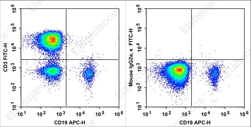 FITC Anti-Human CD3 Antibody[HIT3a] - 1