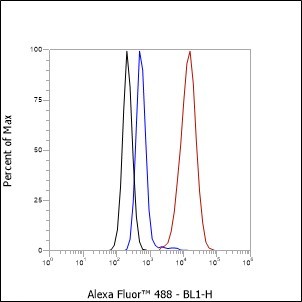 Recombinant QSOX1 Monoclonal Antibody - 2