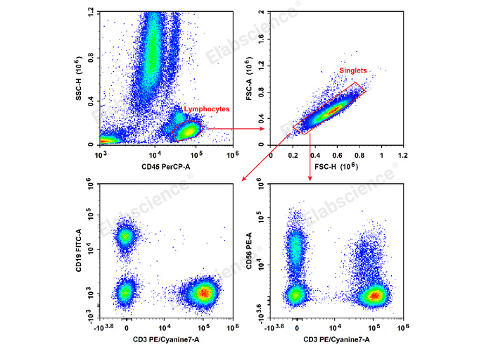 Human peripheral blood lymphocytes are stained with Anti-Human CD19-FITC/CD56-PE/CD3-PE/Cyanine7/CD45-PerCP Cocktail.