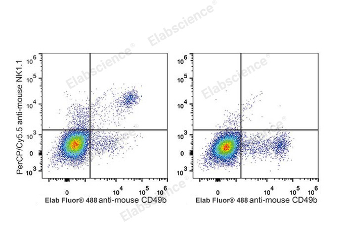 C57BL/6 murine splenocytes are stained with PerCP/Cyanine5.5 Anti-Mouse CD161/NK1.1 Antibody and Elab Fluor® 488 Anti-Mouse CD49b Antibody (Left). Splenocytes stained with Elab Fluor® 488 Anti-Mouse CD49b Antibody (Right) are used as control.