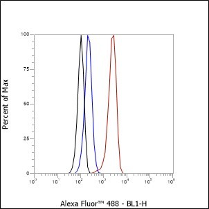 Recombinant TFIIF beta Monoclonal Antibody - 2