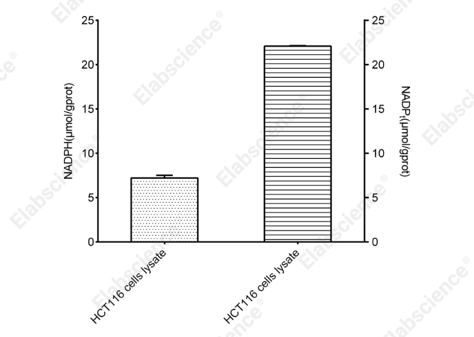 NADP⁺/NADPH Colorimetric Assay Kit (WST-8) - 2