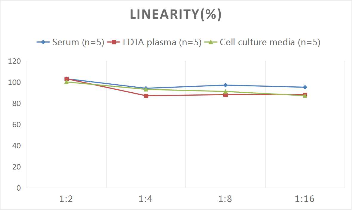 QuicKey Pro Rat VCAM-1/CD106 (Vascular Cell Adhesion Molecule 1) ELISA Kit-产品推荐-1
