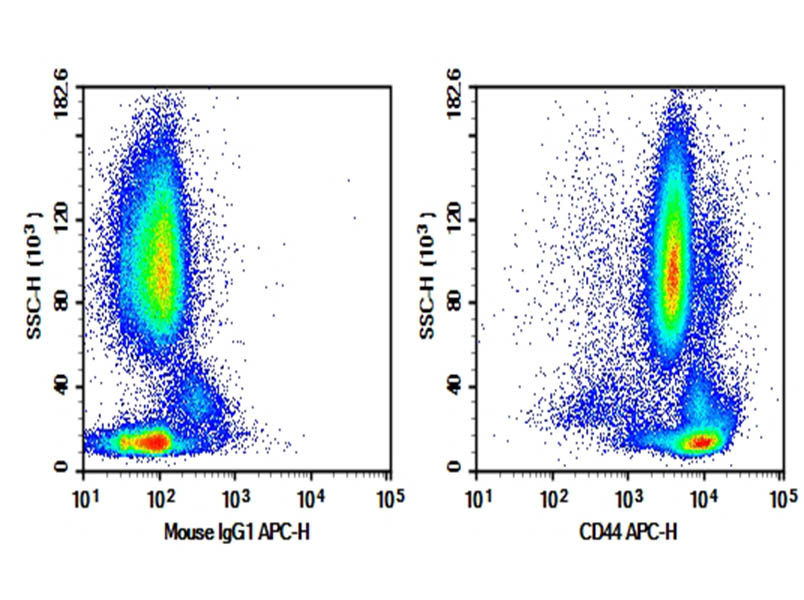 Purified Anti-Human CD44 Antibody[BJ18] - 1