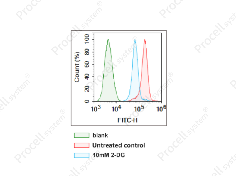 2-NBDG Glucose Uptake Cell-Based Kit