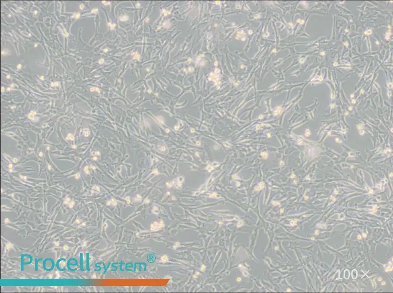 Super Tube Cell Complete MediumSuper Tube Cell Complete Medium - 2