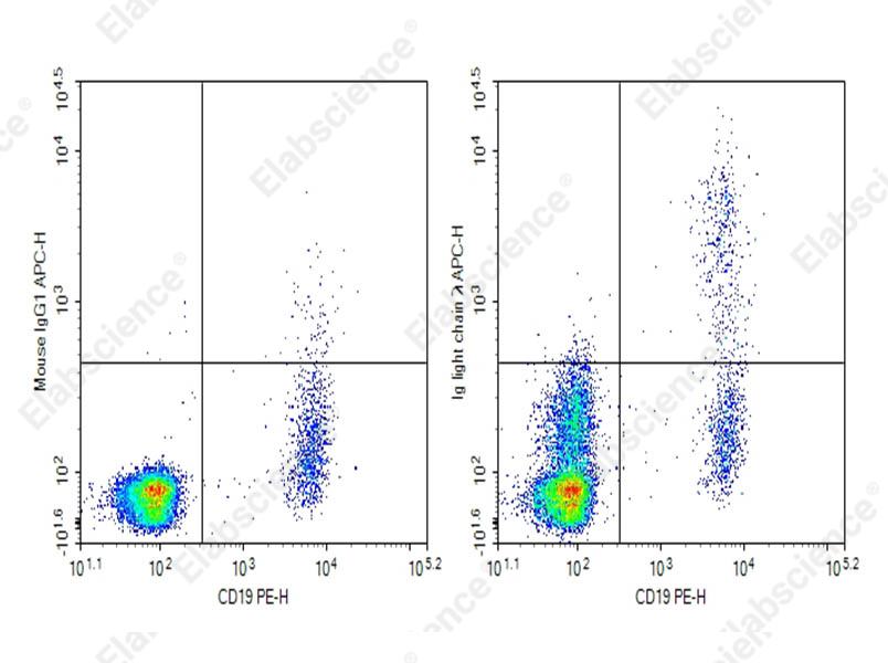 Purified Anti-Human Ig light chain λ Antibody[1-155-2] - 1