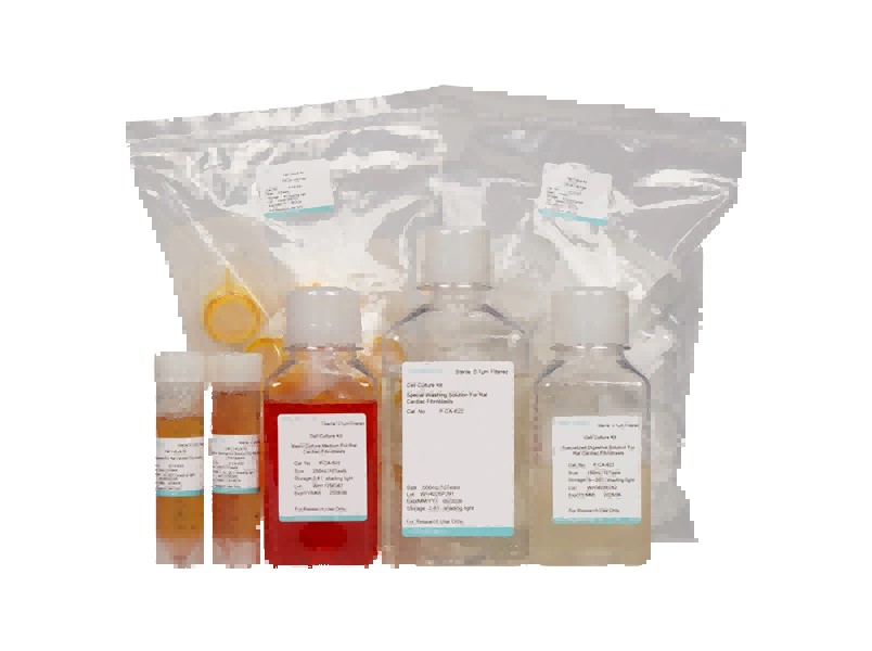 Rat Cardiac Fibroblast Isolation and Culture Kit - 3