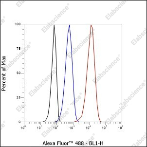 Recombinant GPNMB Monoclonal Antibody - 5