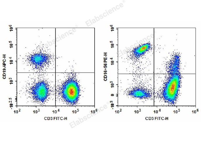 Human peripheral blood lymphocytes are stained with Anti-Human CD3-FITC/CD19-APC/CD16+CD56-PE.