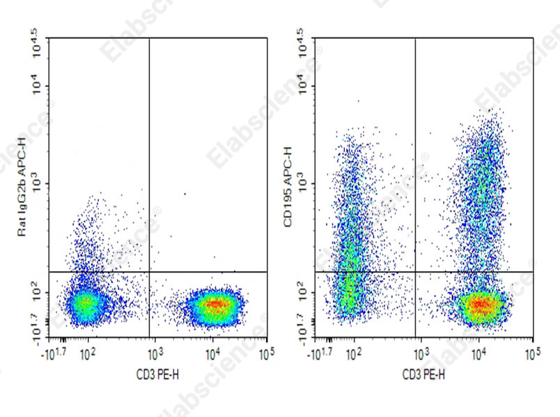 Purified Anti-Human CD195 Antibody[HEK/1/85a] - 1