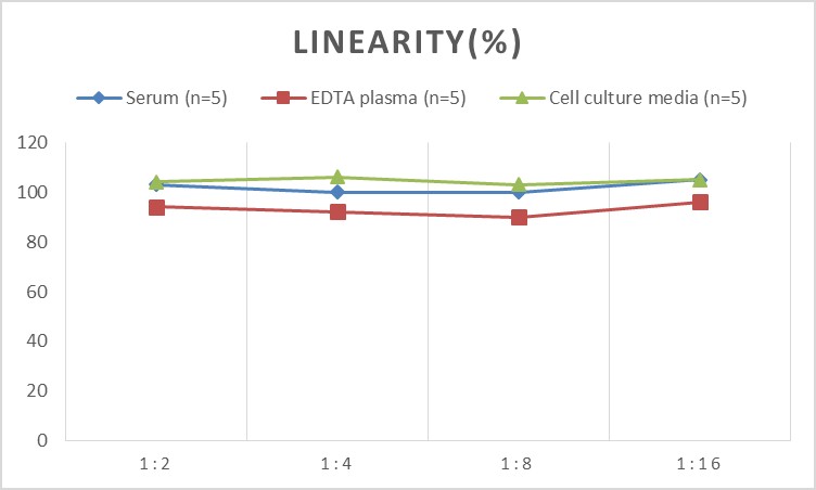 High Sensitivity Rat IL-10(Interleukin 10) ELISA Kit-1