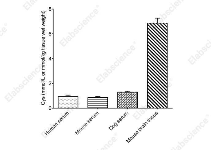Cysteine (Cys) Colorimetric Assay Kit - 2