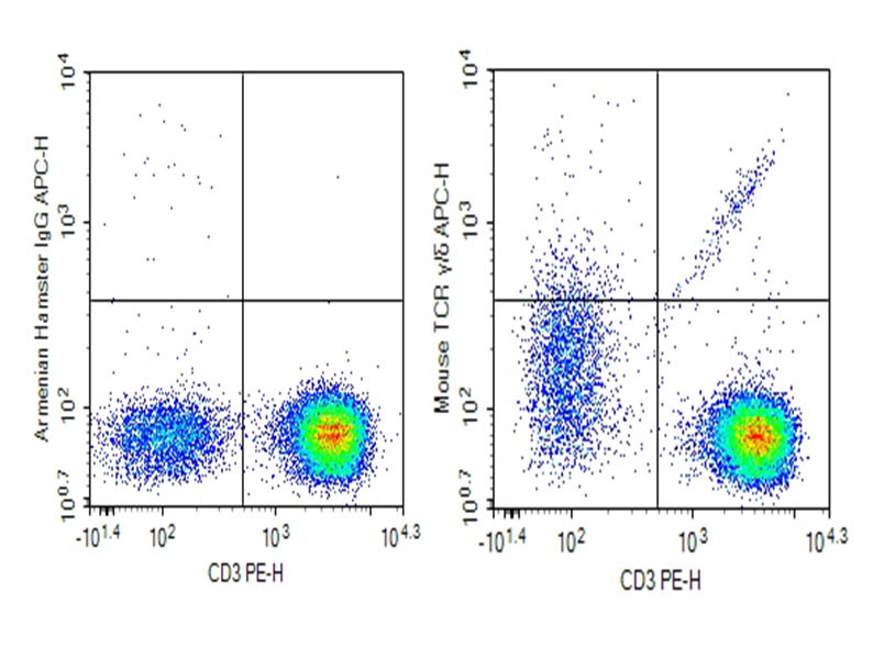 Purified Anti-Mouse TCR γ/δ Antibody[UC7-13D5] - 1