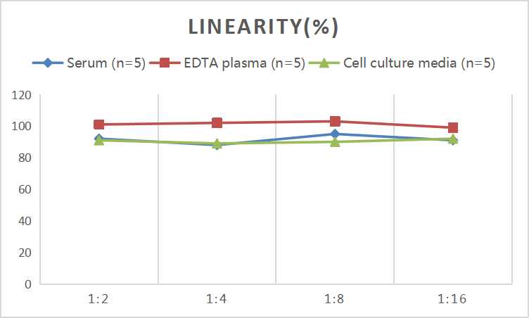 Mini Sample Human FABP2 (Intestinal Fatty Acid Binding Protein) ELISA Kit - small - 2