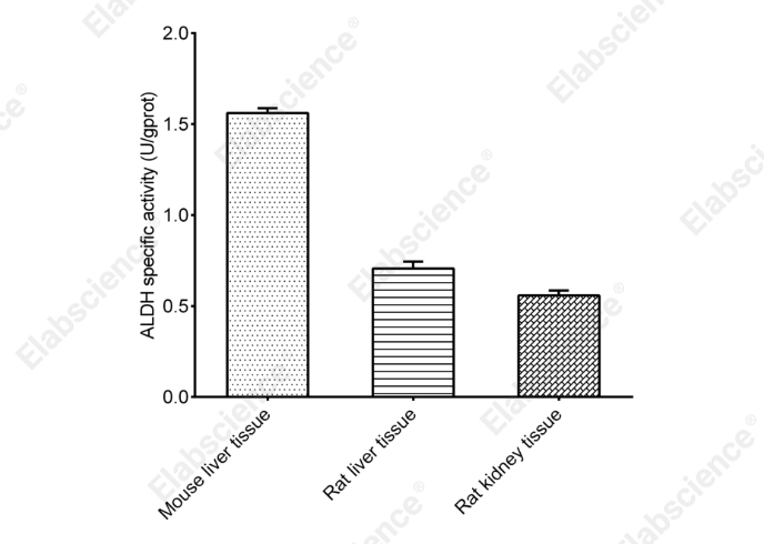 Aldehyde Dehydrogenase (ALDH) Activity Assay Kit - 2