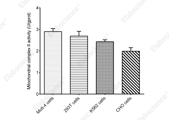 Cell Mitochondrial Complex II Activity Assay Kit  - 1