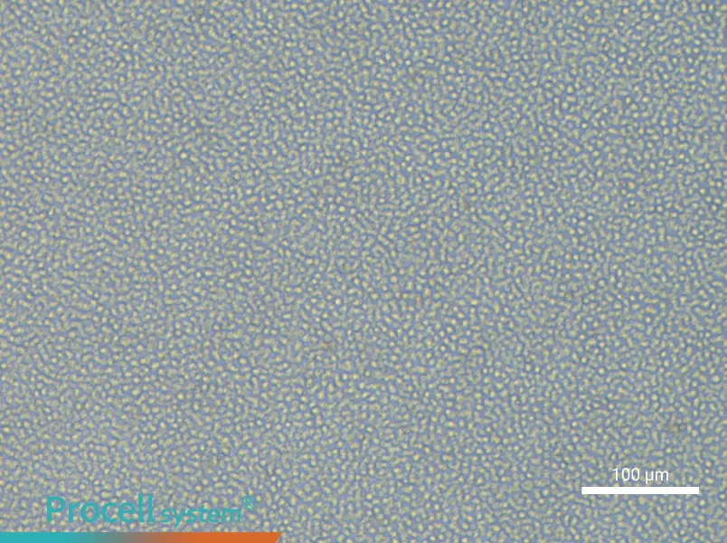 ML-2 Cell Complete MediumML-2 Cell Complete Medium - 2