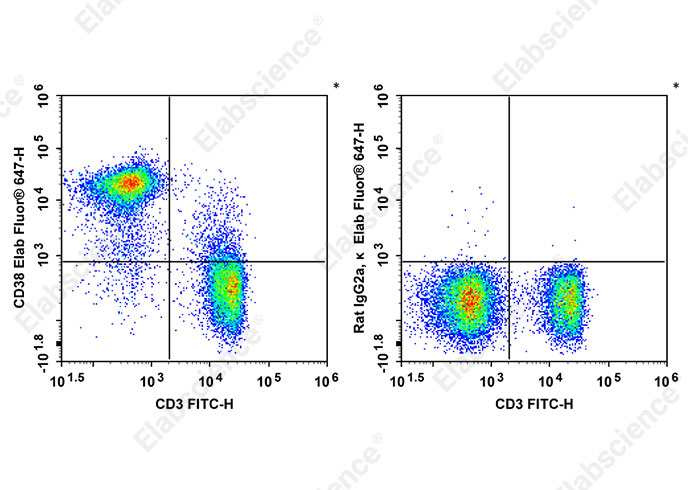 Elab Fluor<sup>®</sup> 647 Anti-Mouse CD38 Antibody[90]-searchlist-1