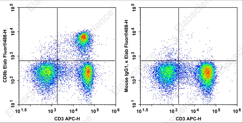 Elab Fluor<sup>&reg;</sup>488 Anti-Rat CD8b Antibody[341] - 1