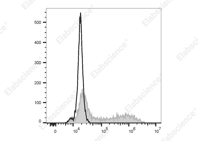 PE Anti-Human IL-12/IL-23 p40 Antibody[C8.6]-searchlist-1