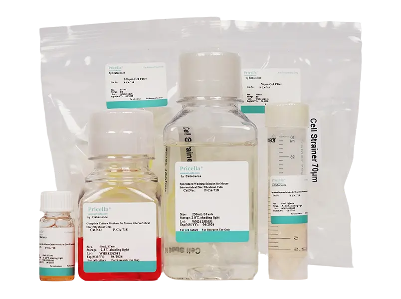 Mouse Intervertebral Disc Annulus Fibrosus Cell Isolation and Culture Kit-searchlist-1
