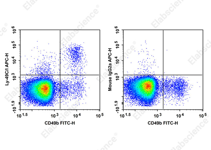 APC Anti-Mouse Ly-49C/I Antibody[5E6]-searchlist-1