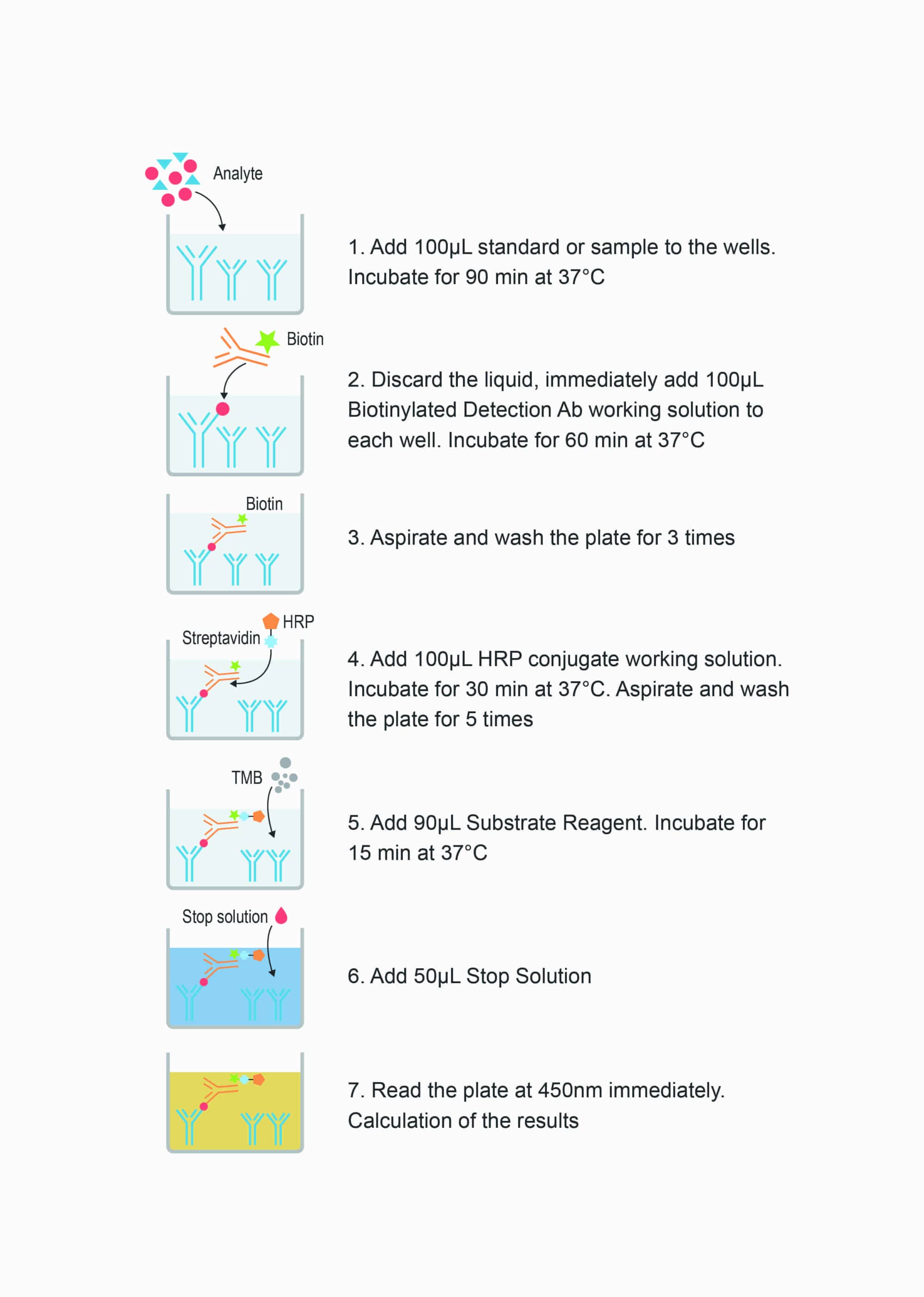 High Sensitivity Mouse IL-2 (Interleukin 2) ELISA Kit - procedures