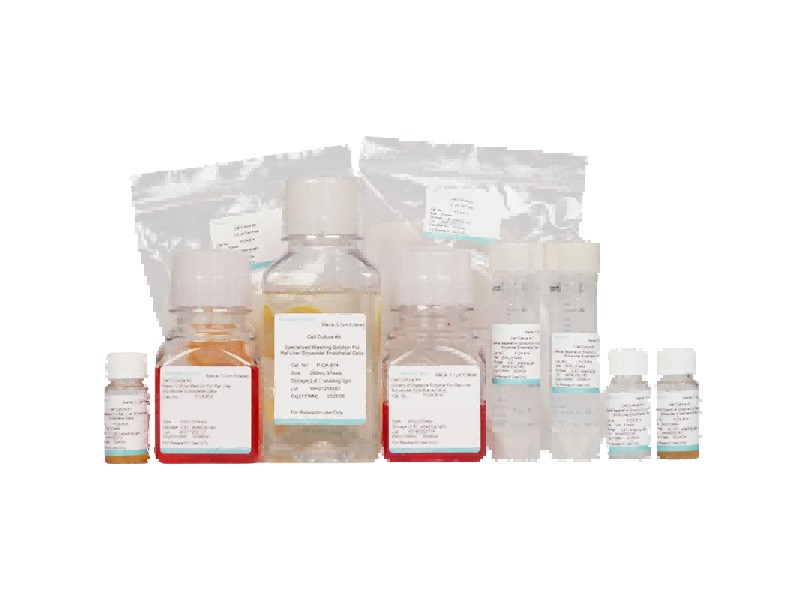 Rat Liver Sinusoidal Endothelial Cell Isolation and Culture Kit - 1