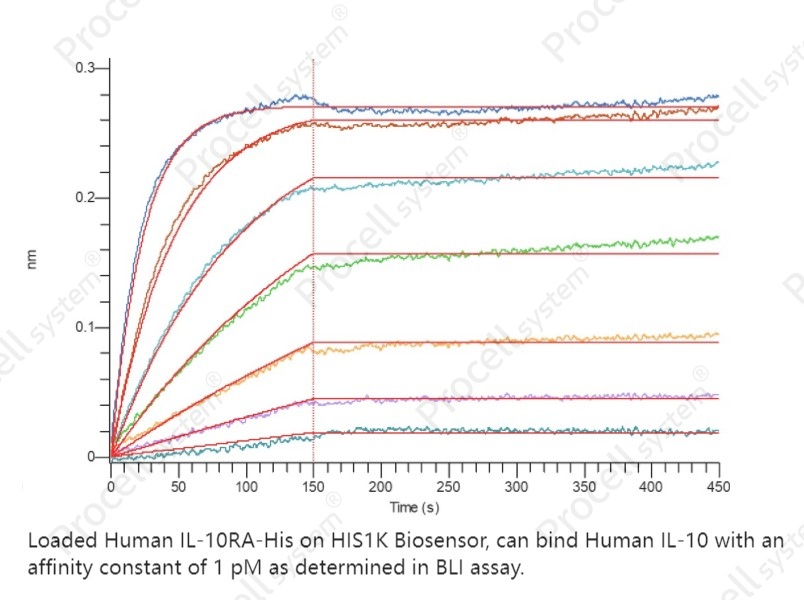 IL-10/IL10A, Human, RecombinantIL-10/IL10A, Human, Recombinant - 2